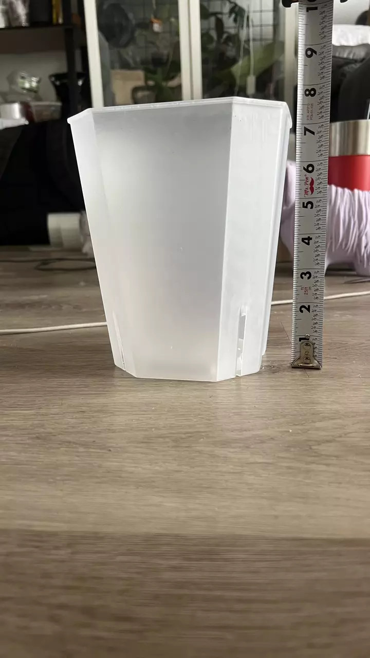 plant/6” clear pots - set of 5-1