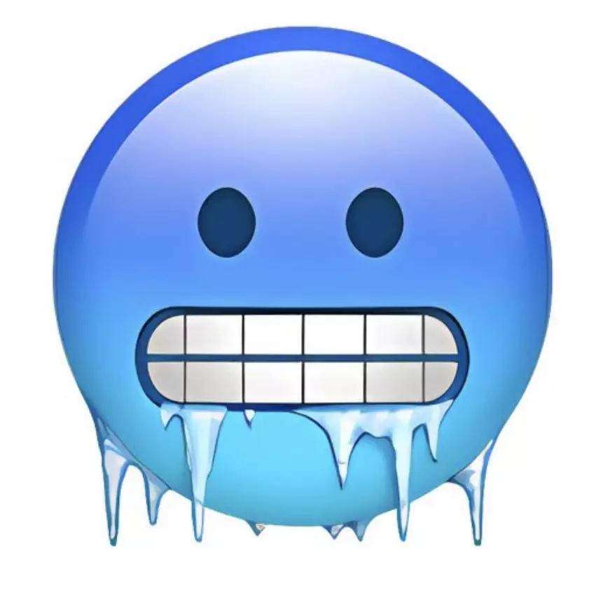 plant/Heat Pack & Insulation-0