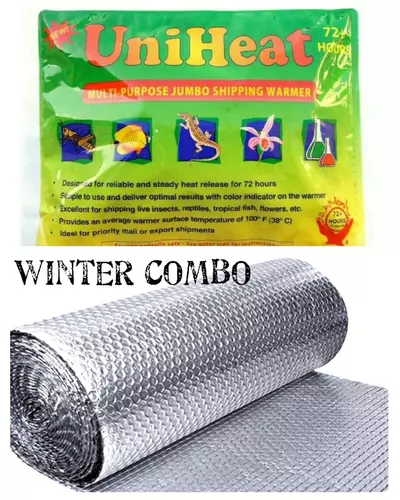 plant/Winter combo-0-thumbnail