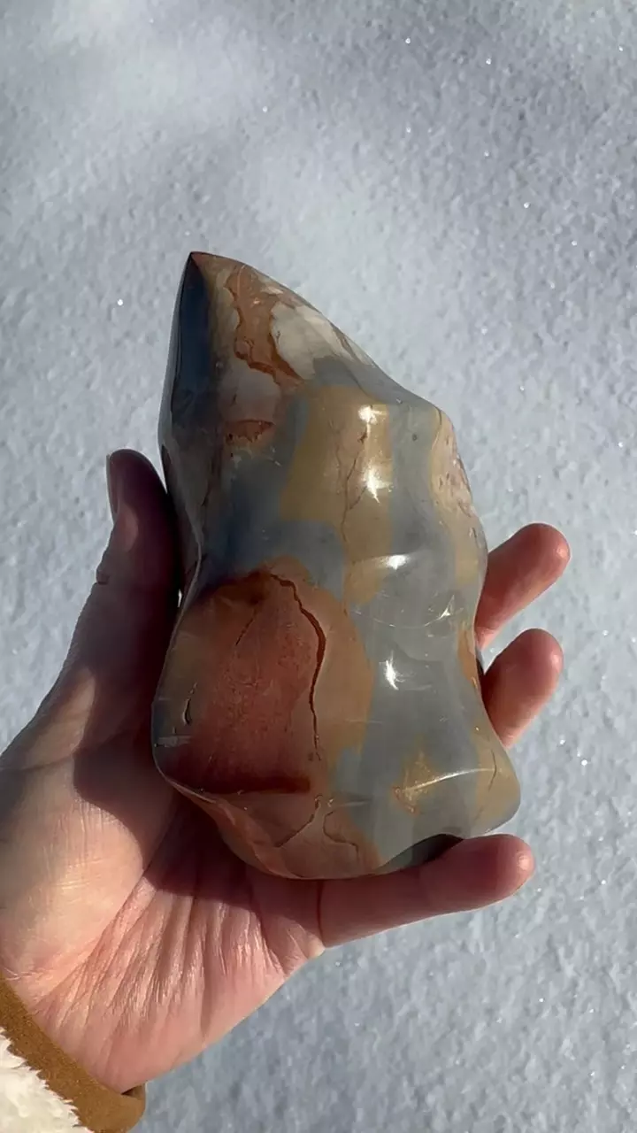 plant/Polychrome Jasper Flame-5