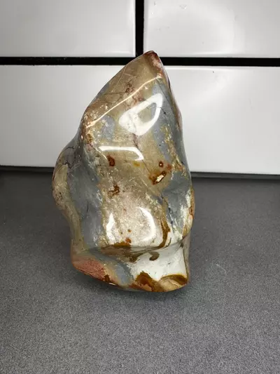 plant/Polychrome Jasper Flame-1-thumbnail