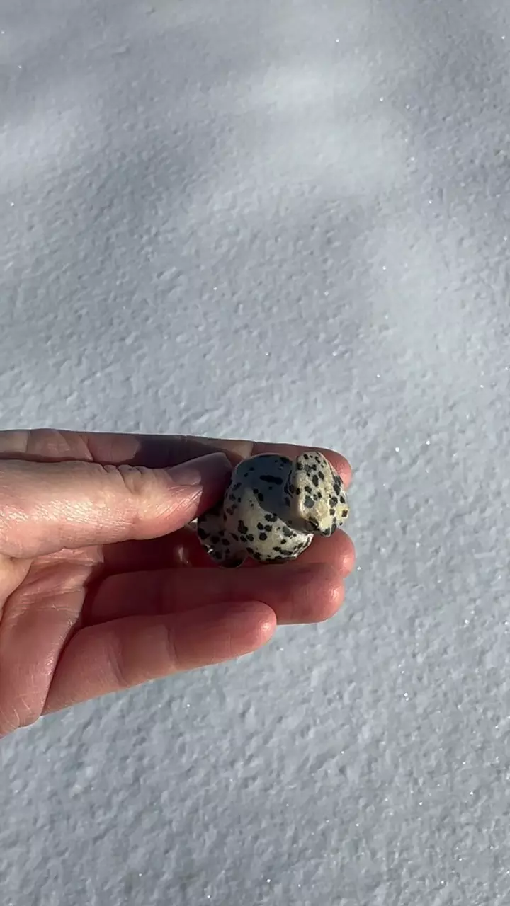plant/Dalmatian Jasper carving-2
