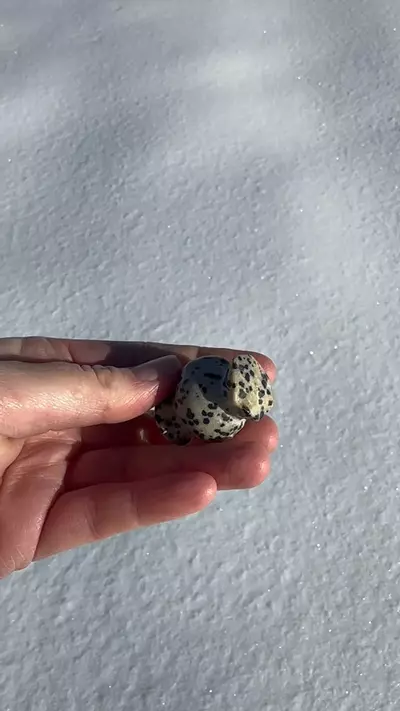 plant/Dalmatian Jasper carving-2-thumbnail