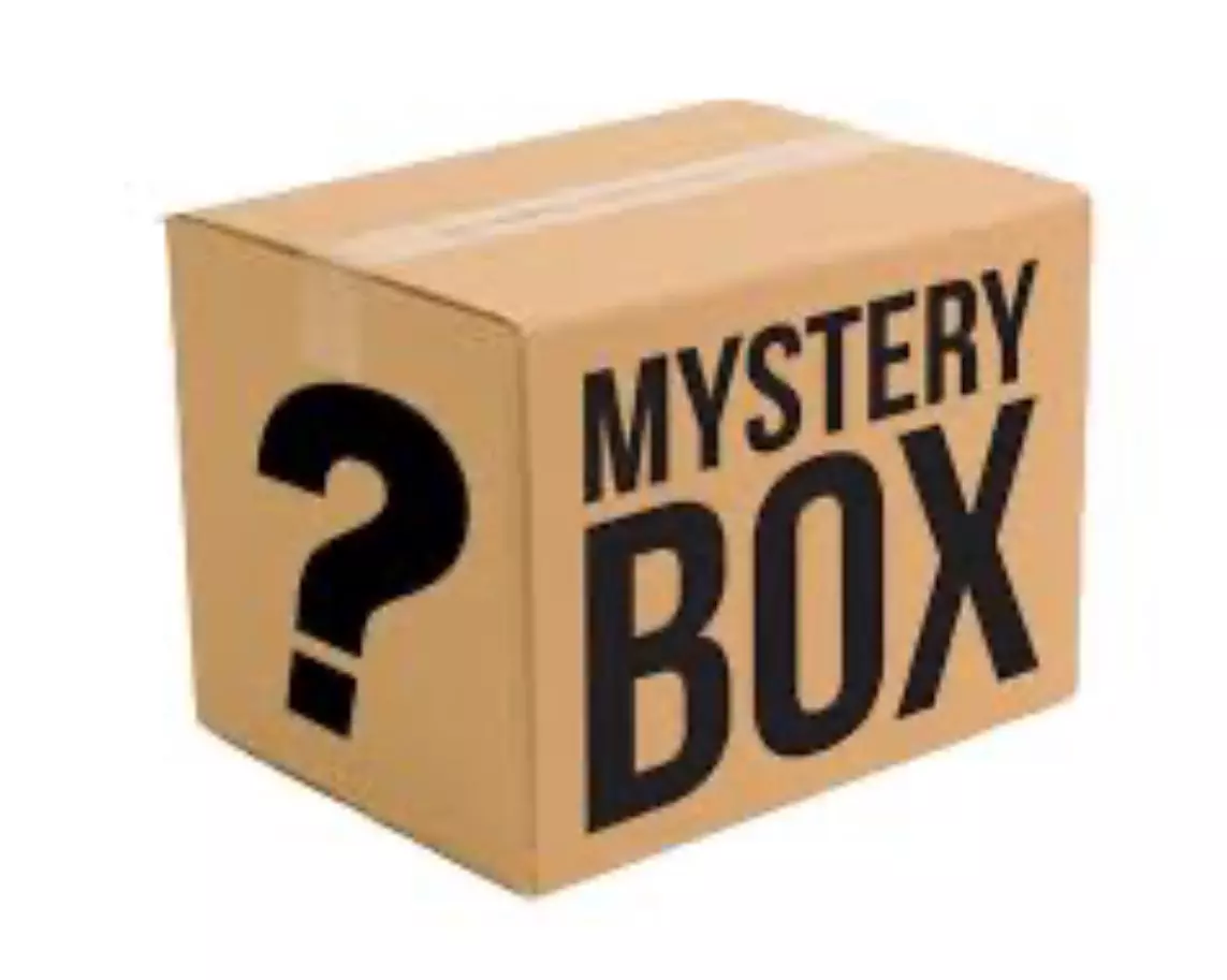 plant/Mystery Scindapsus cutting-0