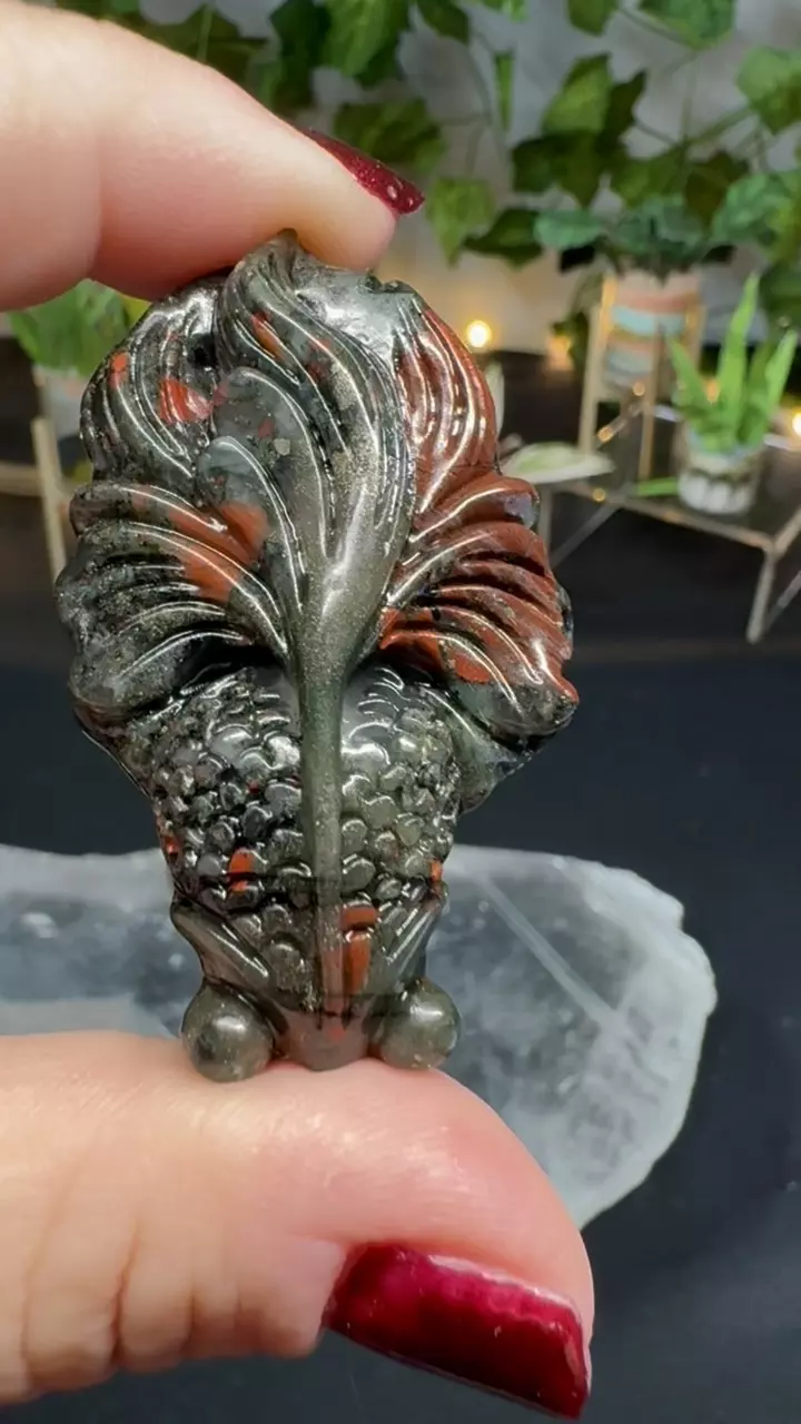 plant/African Blood Stone or Ocean Jasper hand carved goldfish-1