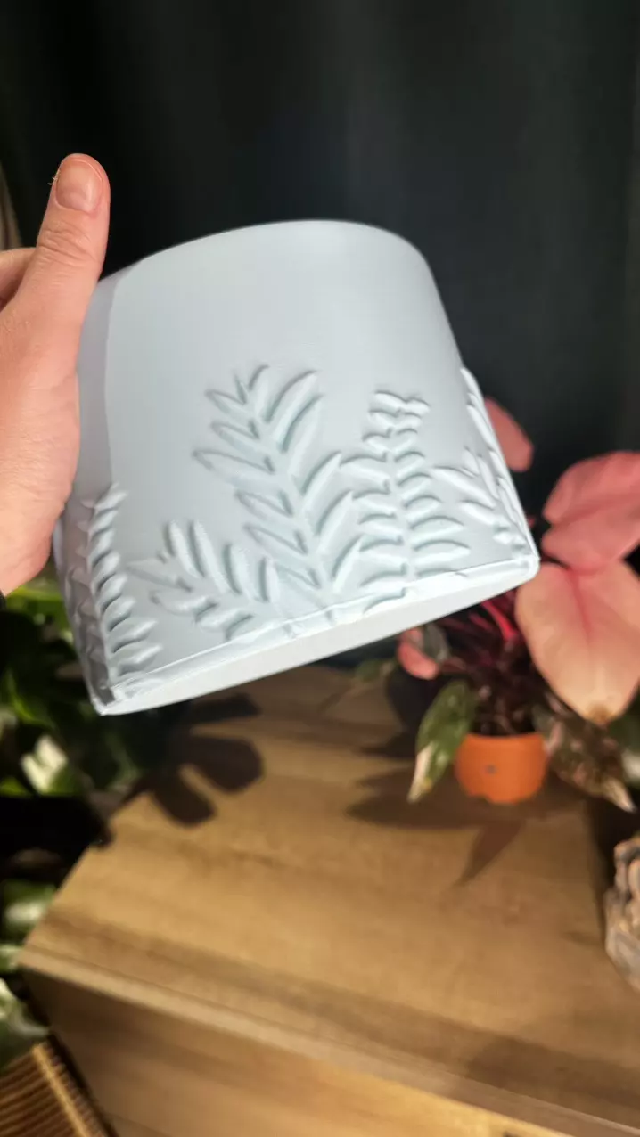 plant/Blue Fern Pot🌿-4