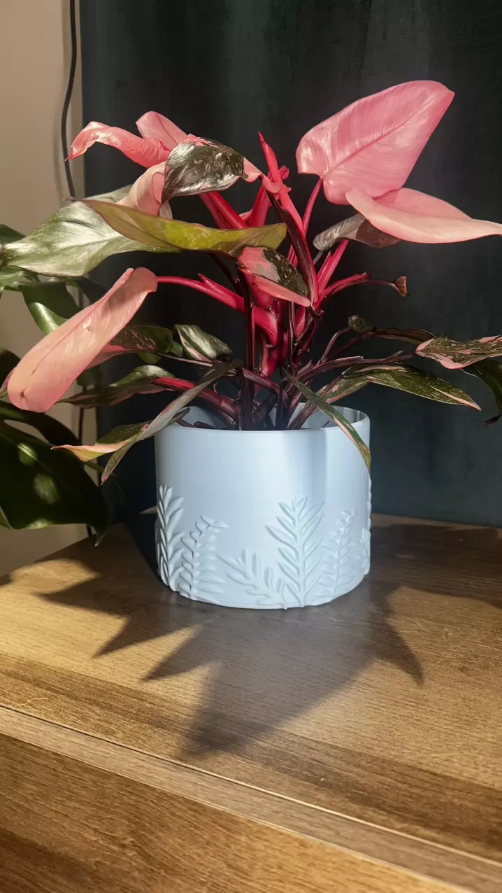plant/Blue Fern Pot🌿-1