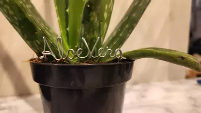 plant/Plant stakes labels markers-2-thumbnail