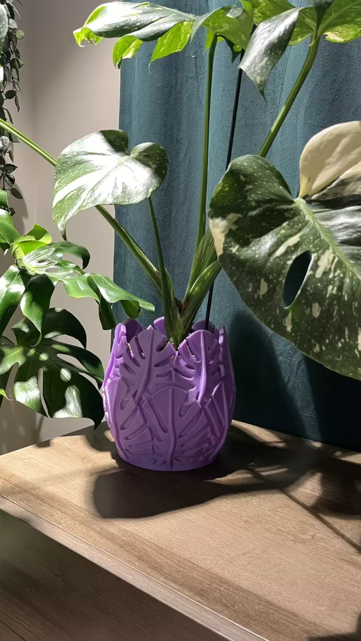 plant/🌿 Stunning 3D Printed Monstera Leaf-Inspired Planter – Angela Amethyst💜-4