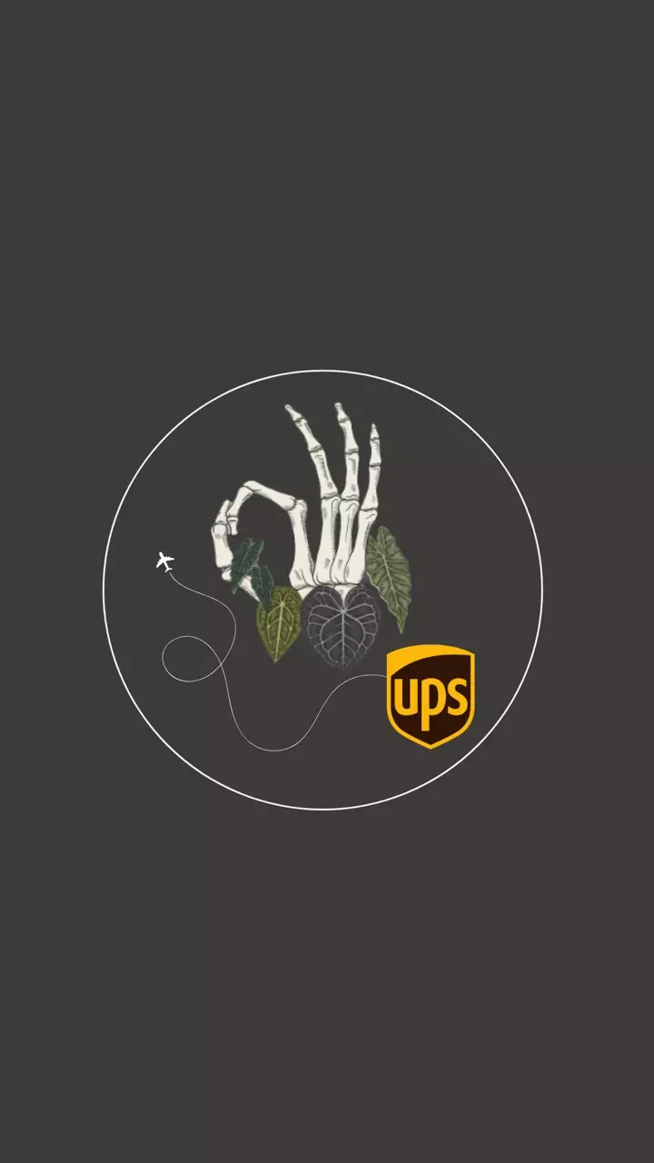 shipping_upgrade/UPS NEXT DAY AIR UPGRADE-0