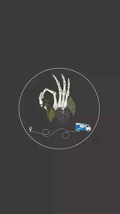 heat_pack/USPS Priority Express-0-thumbnail