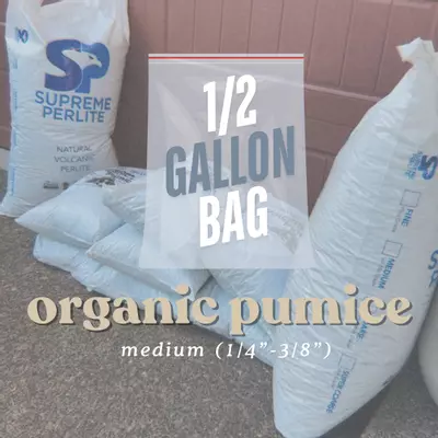 plant/volcanic pumice - 3 sizes-1-thumbnail