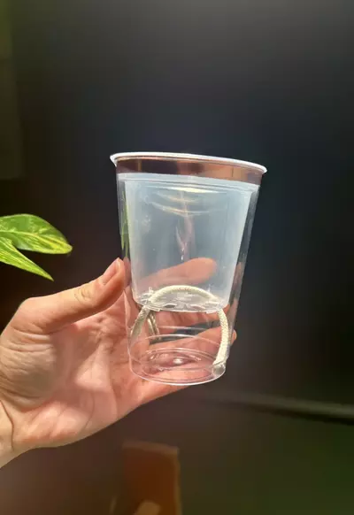 plant/3 inch self-watering pot-0-thumbnail