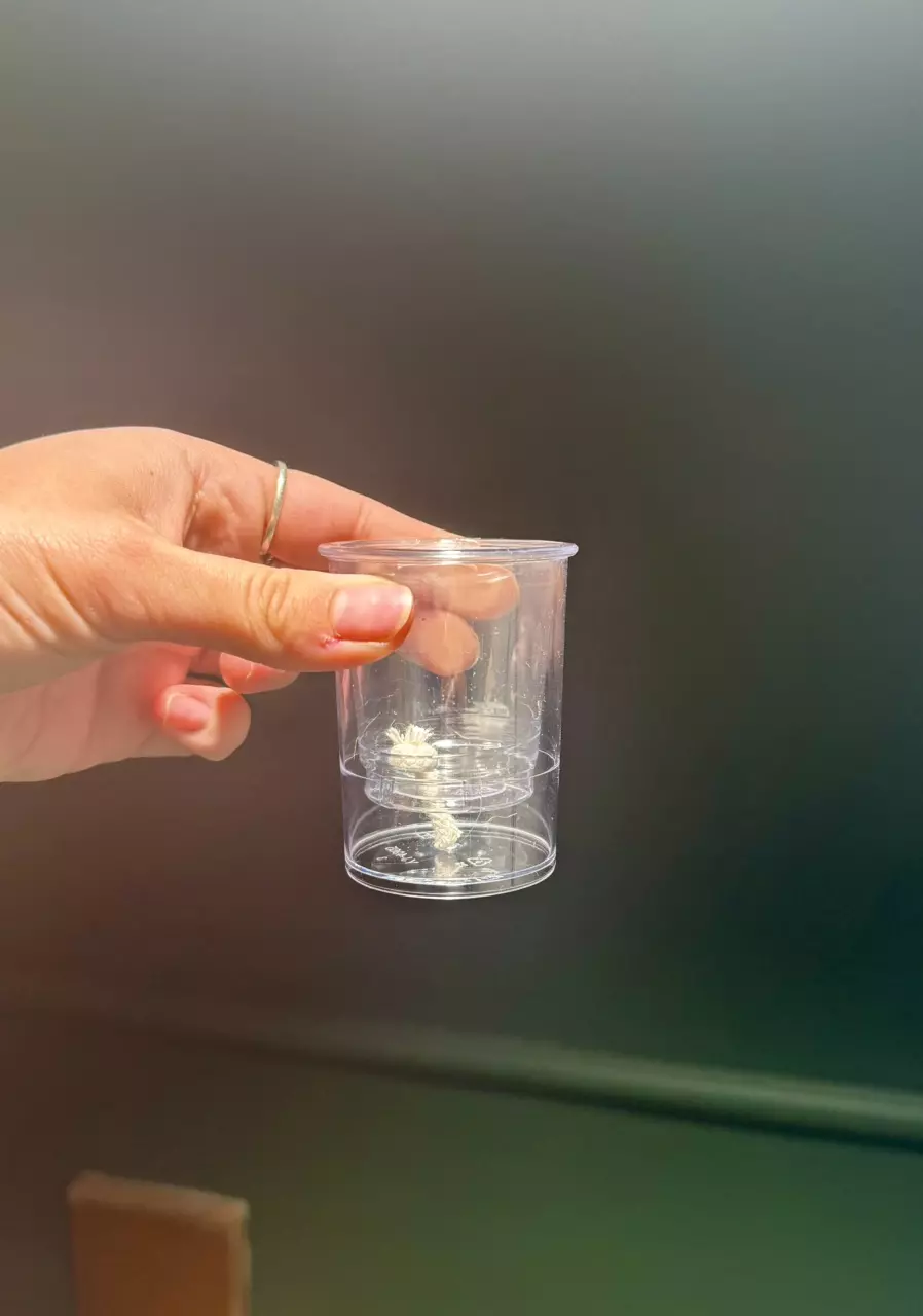 plant/2 inch self-watering pot.-0