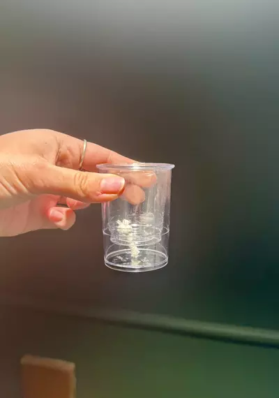 plant/2 inch self-watering pot.-0-thumbnail