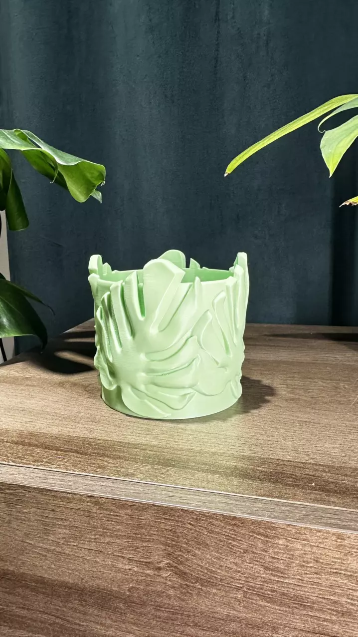 plant/Stunning 3D Printed Monstera Leaf Pot 🌿✨-0