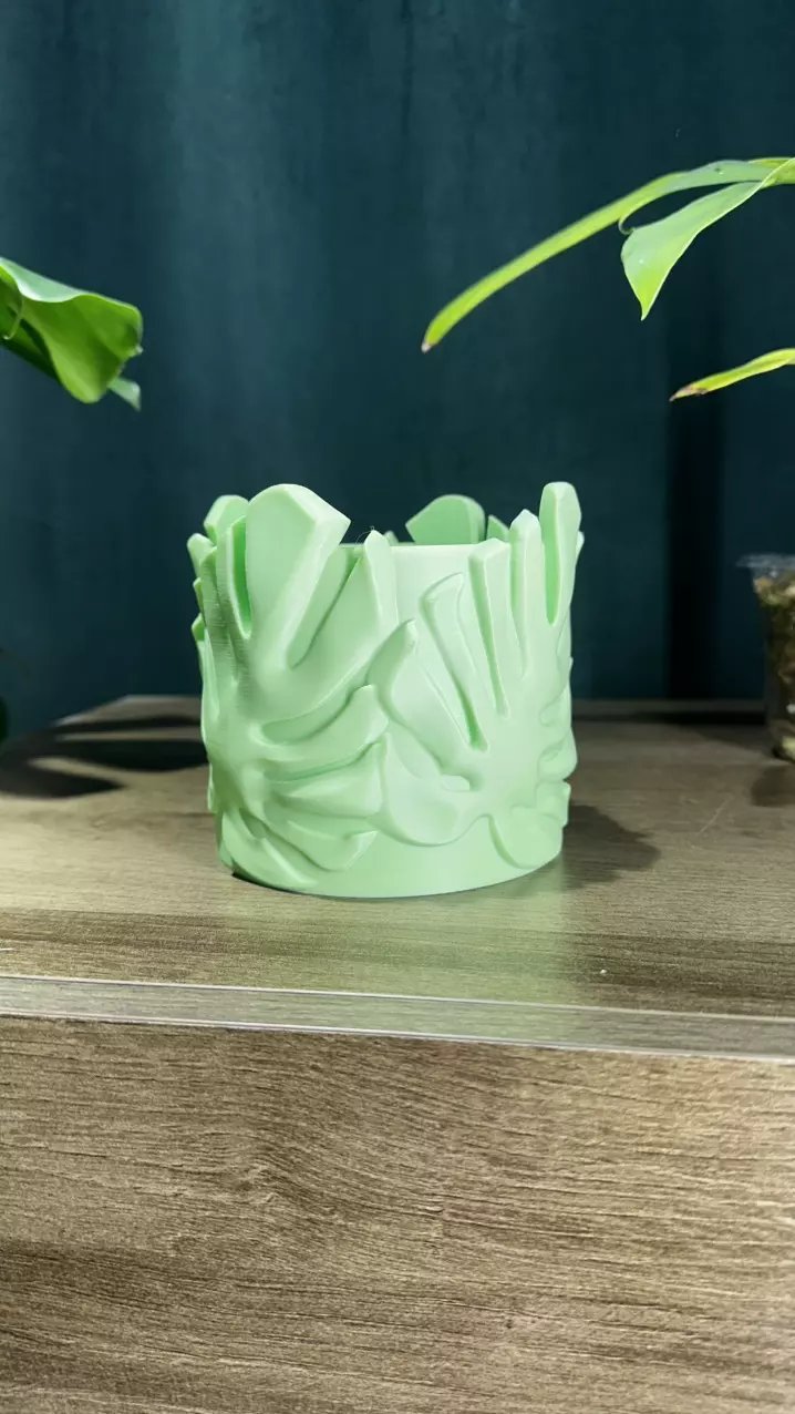plant/Stunning 3D Printed Monstera Leaf Pot 🌿✨-1