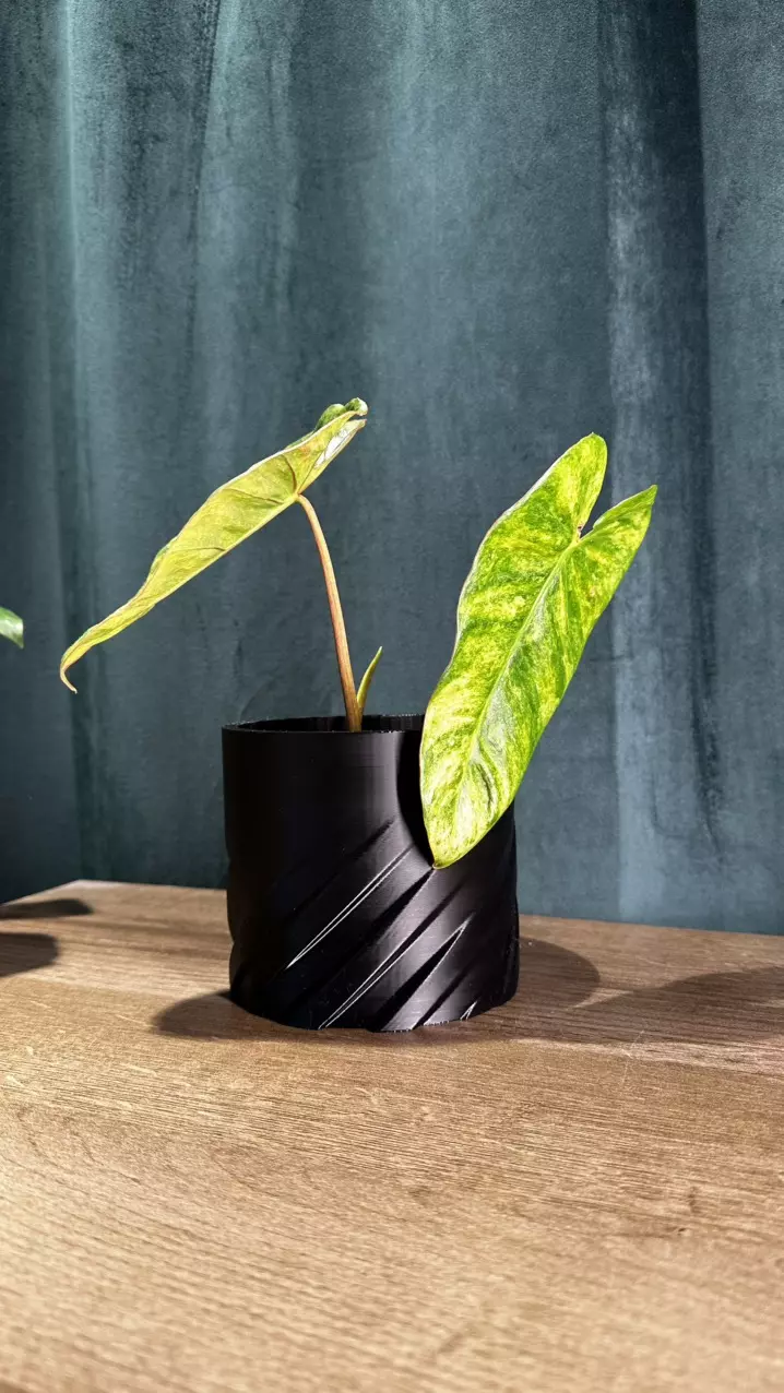 plant/Modern 3D Planter: A Stylish Touch for Your Space 🌱✨-3