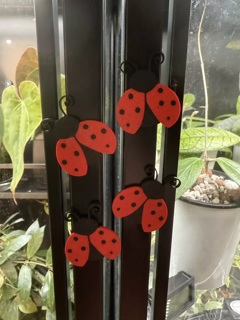 plant/Lady Bug Magnet (1)-1