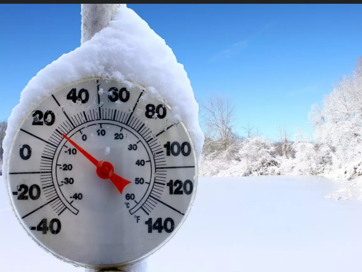 plant/Cold weather packing (1 heat pack and insulation)-0