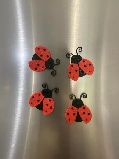 plant/Lady Bug Magnet (1)-0-thumbnail