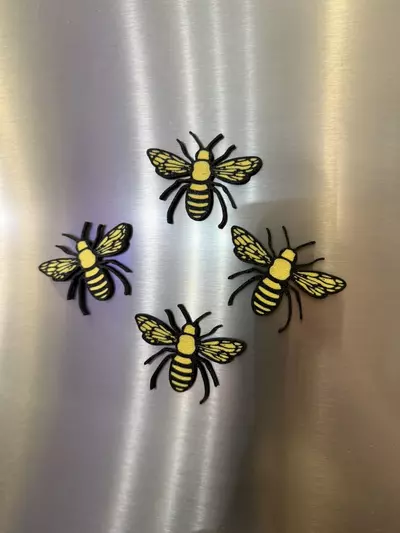 plant/Bee Magnet (1)-0-thumbnail