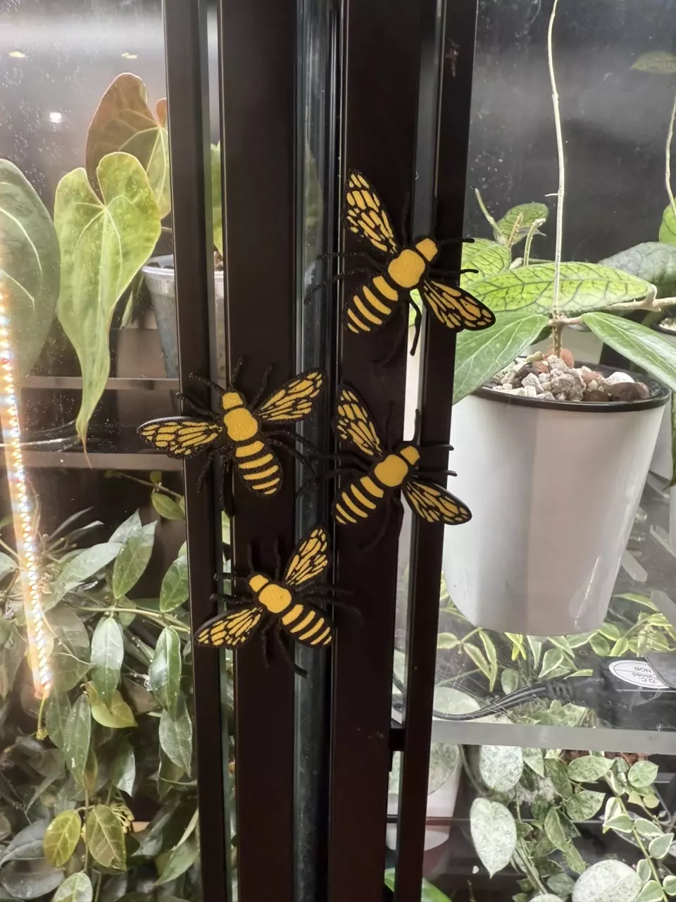 plant/Bee Magnet (1)-1