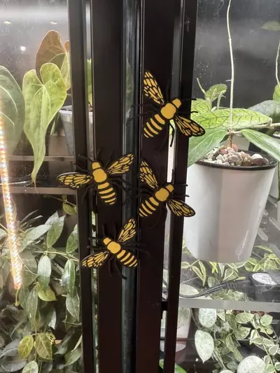 plant/Bee Magnet (1)-1-thumbnail