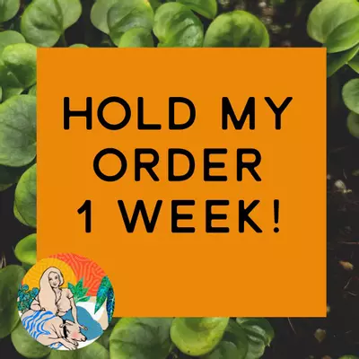 shipping_upgrade/Hold My Shipment for 1 week!-0-thumbnail