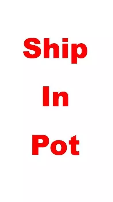 heat_pack/Ship in pot-0-thumbnail