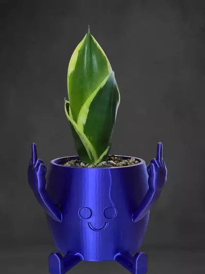 plant/Mr. Flippy-0-thumbnail