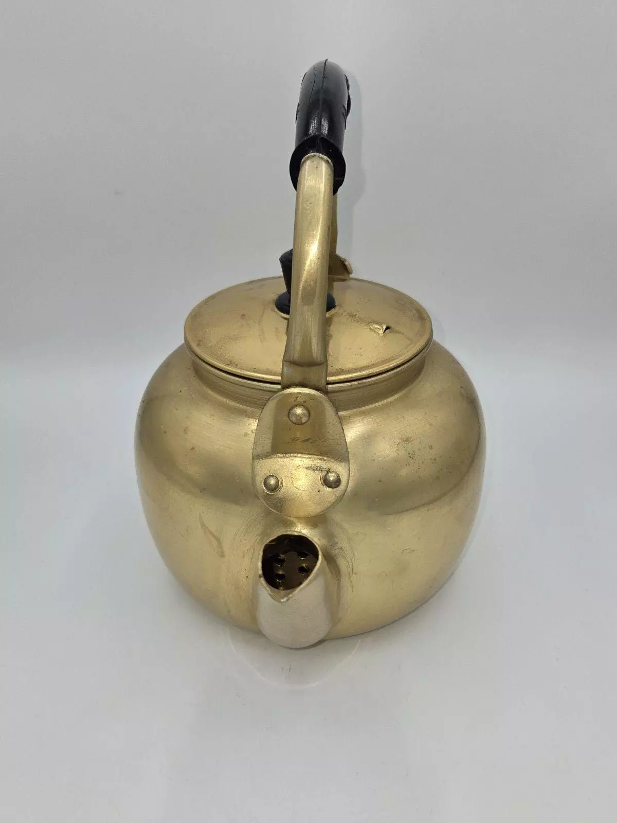 plant/Gold-Toned Aluminum Tea Kettle Vintage-1