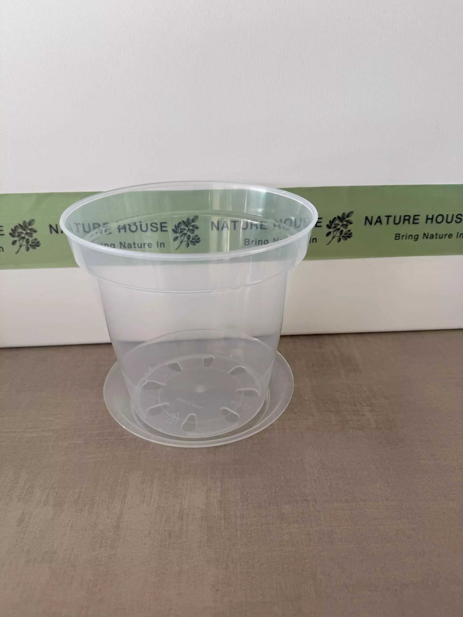 plant/Clear Rigid Pot and Saucer 6"-0