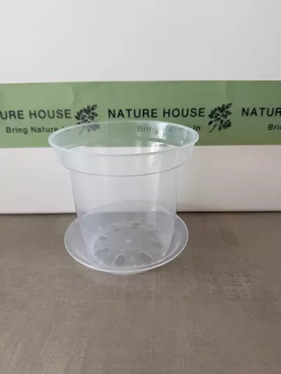 plant/Clear Rigid Pot and Saucer 5"-0-thumbnail