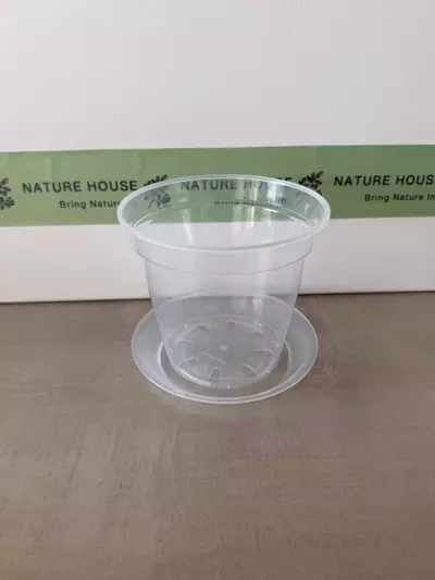 plant/Clear Rigid Pot and Saucer 7"-0-thumbnail