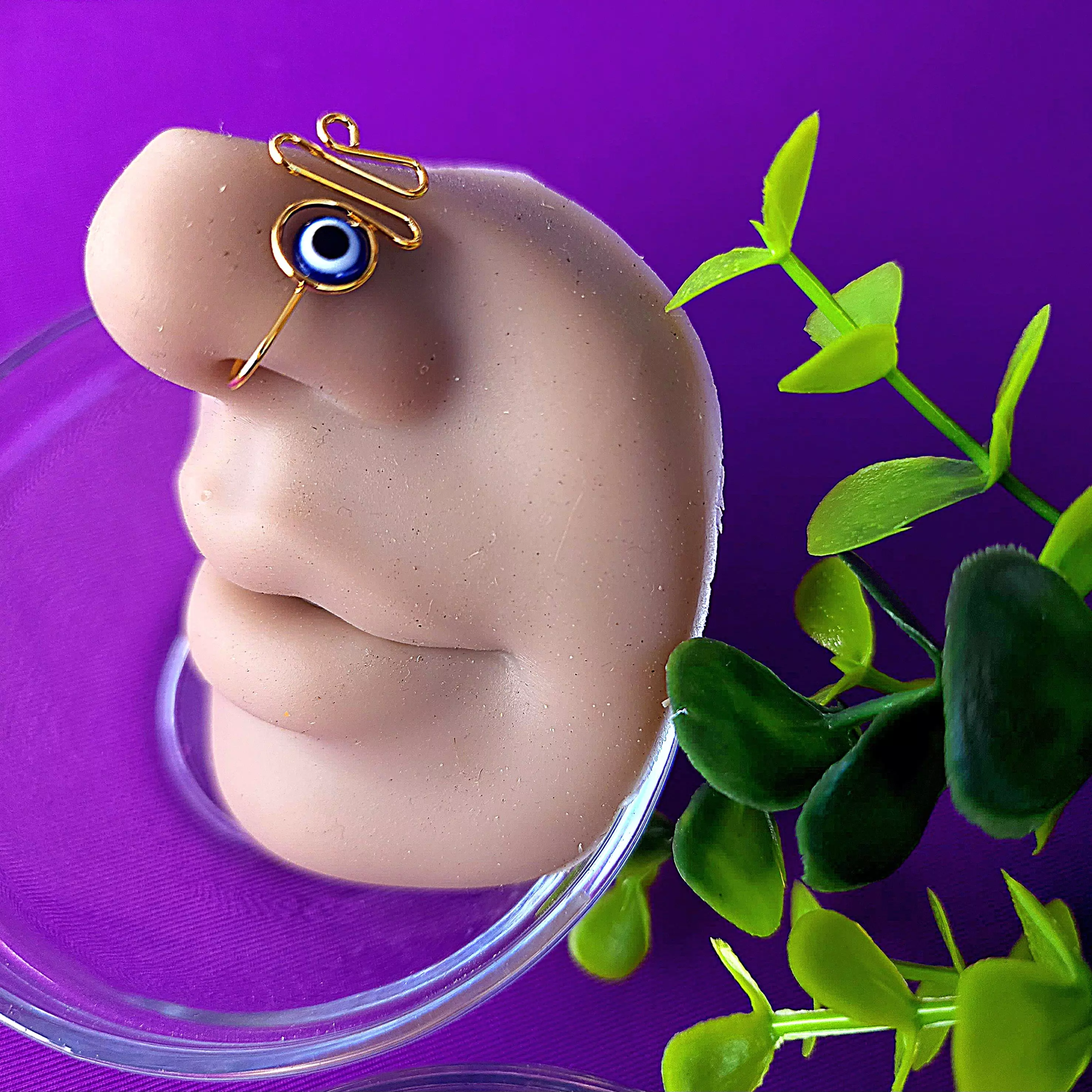 plant/Evil Eye Nose Ring (Clip on)-0