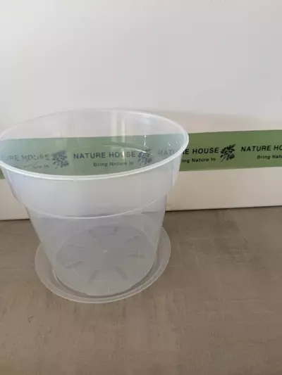 plant/Clear Rigid Pot and Saucer 9"-0-thumbnail