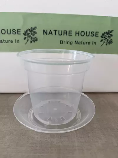plant/Clear Rigid Pot and Saucer 4"-0-thumbnail