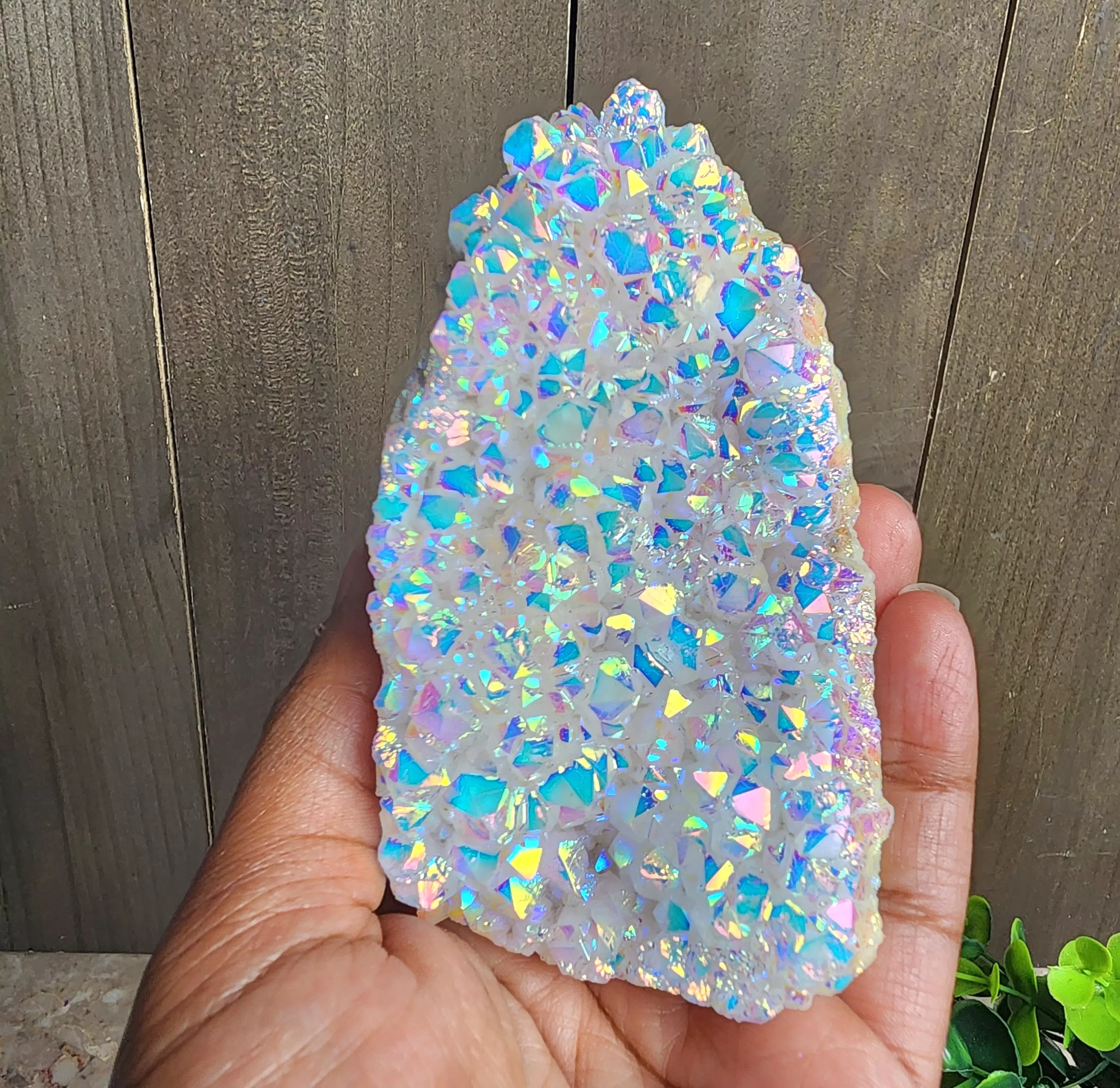 plant/Angel Aura Quartz Freeforms-0