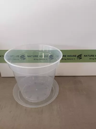 plant/Clear Rigid Pot and Saucer 8"-0-thumbnail
