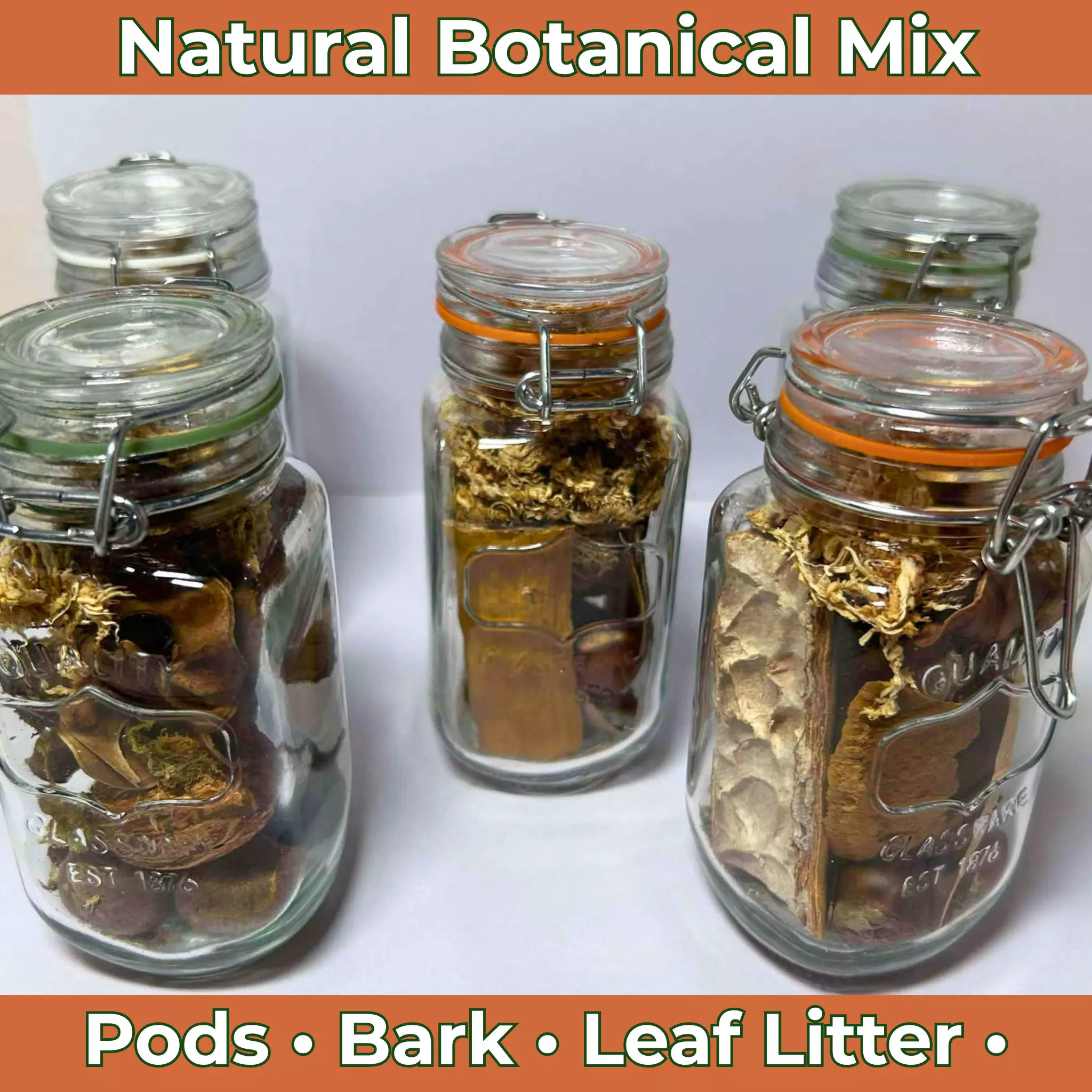 plant/Botanical Leaf Litter Mix - Small-0