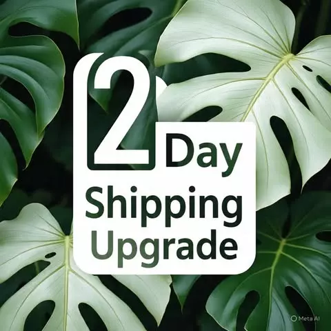 plant/Upgrade to 2 Day Shipping-0