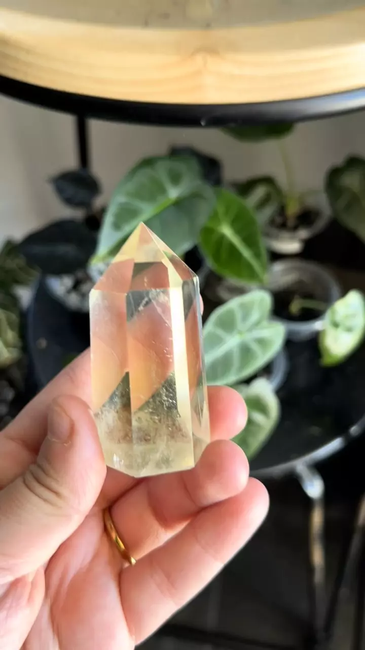 plant/Golden Citrine Tower – 2" D-1