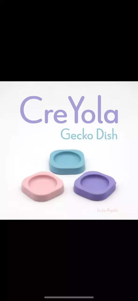 plant/Gecko Feeding Dish- 10 Pack-0