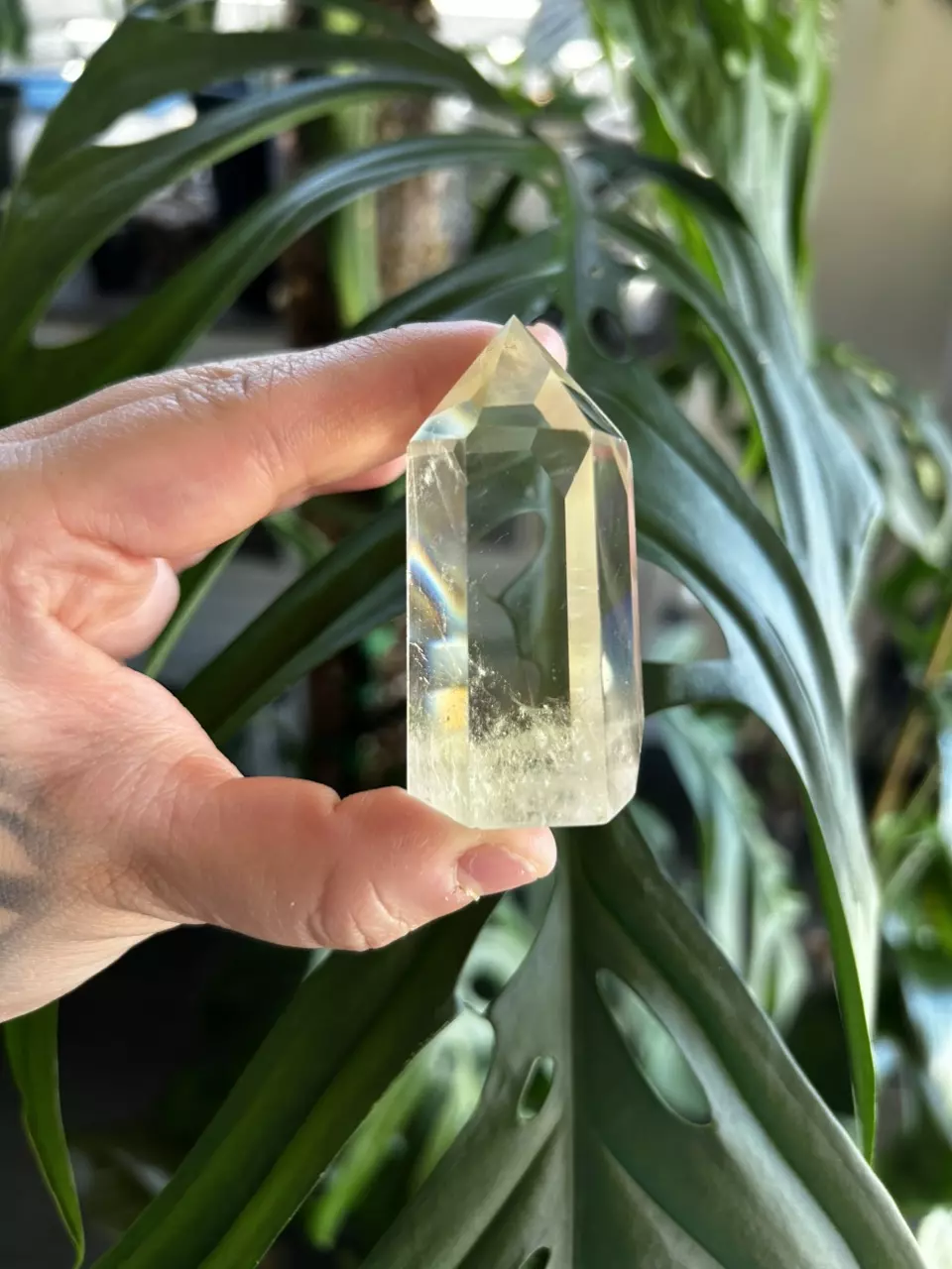 plant/Golden Citrine Tower – 2" D-0