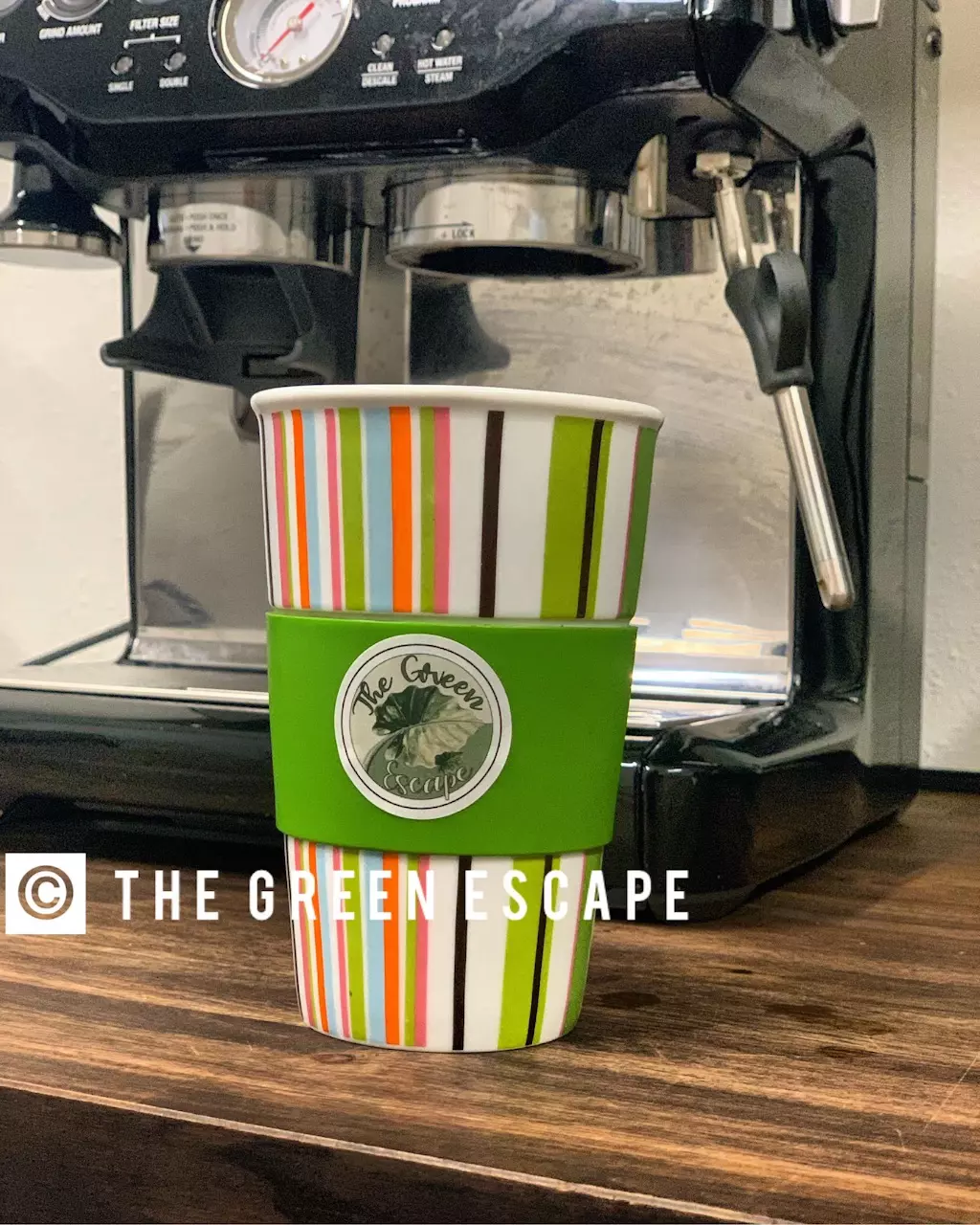 plant/Small TGE Sticker 1.5" in (stickers can only be added onto orders that meet the 2 plant minimum!)-0