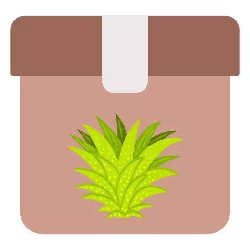 plant/Shipping - Air Plant Difference-0