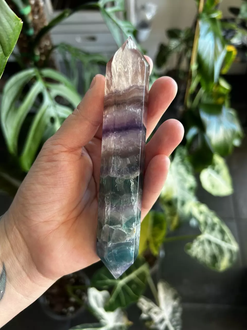 plant/✨ Double-Terminated Fluorite - appc 6”  (UV)✨-0
