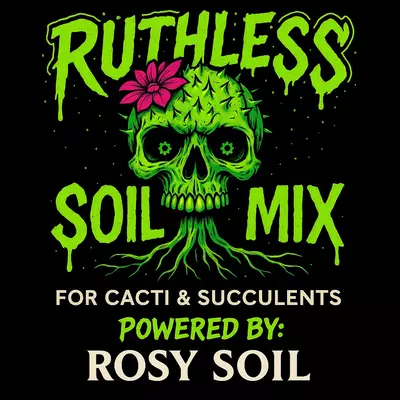 free_shipping/Adoption Repotting kit!!! (Plant not inlcuded)-1-thumbnail