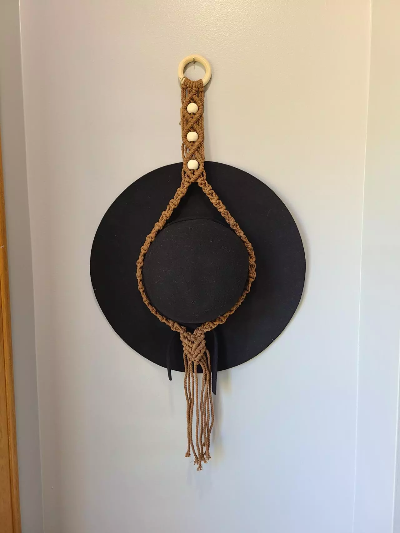 plant/Hat Holder-0